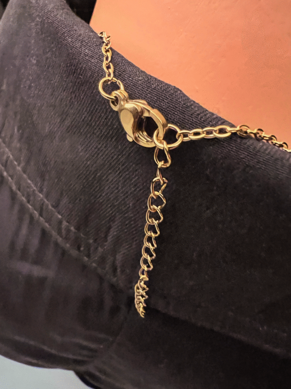 goldneck_w_clasp